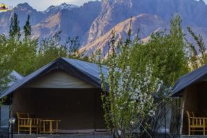 DE Nubra Camp Restaurant